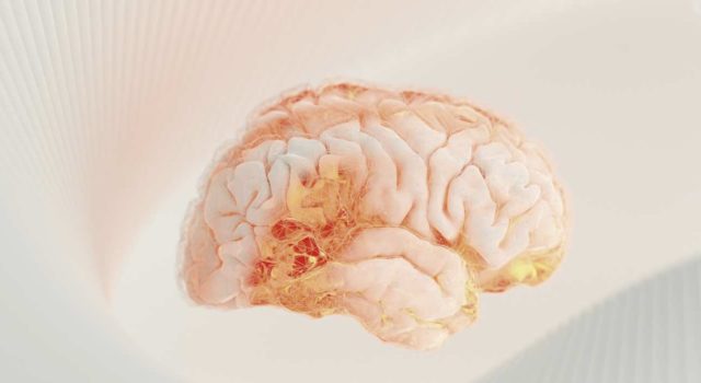 Máster Universitario en Investigación en Psicología Aplicada UCLM: fundamentos para investigar
