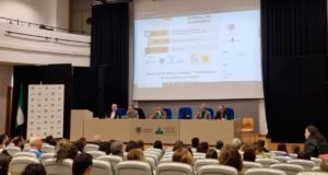 El bienestar de una persona autista se logra con un entorno adaptado a sus necesidades