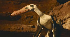 Aparecen los restos de más de un centenar de reptiles voladores que vivieron en Teruel durante el Jurásico