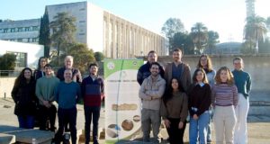 Un nuevo vendaje con hecho con paja y un hongo asiático: acelera la cicatrización y combate infecciones