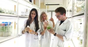 Los nuevos bioestimulantes vegetales para la agricultura se producen en fábricas de células