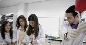 Ingenierías y Ciencias de la Salud lideran las salidas laborales entre los universitarios andaluces