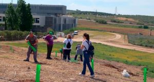 Jornada de reforestación en el campus de Linares de la UJA para reducir su huella de carbono