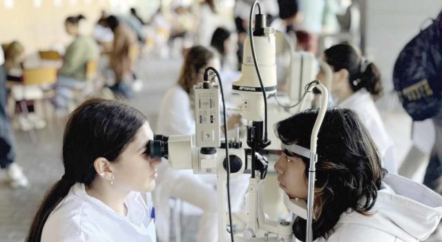 Másteres de la Universidad de Alicante: formación especializada y empleo