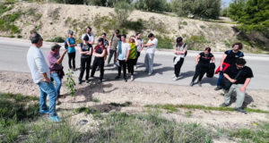 La UJA pilota la reforestación de un municipio jiennense: mejorará la calidad del aire