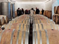 La UCLM acoge una de las pruebas de las que saldrán los mejores catadores de vino