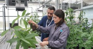 La agricultura ecológica ayuda a los cultivos a resistir mejor la sequía gracias a las bacterias del suelo