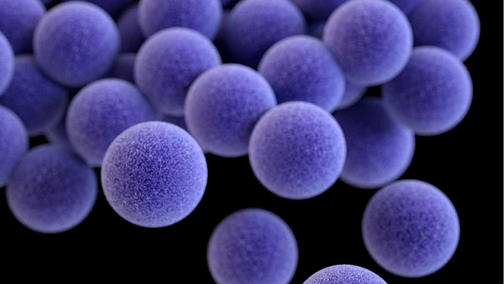 Nanopartículas de rutenio desarrolladas por el CSIC contra Staphylococcus aureus.