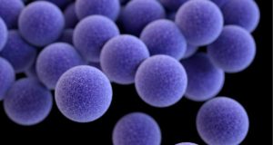 Un nueva generación de nanopartículas eliminan una bacteria hospitalaria resistente a antibióticos