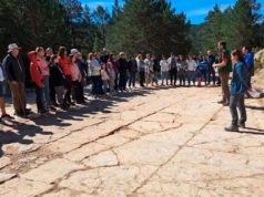 Descubren en Teruel uno de los mayores rastros de dinosaurios carnívoros del Cretácico en España