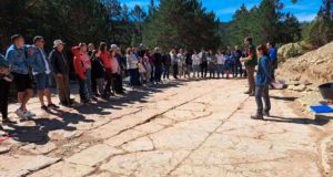 Descubren en Teruel uno de los mayores rastros de dinosaurios carnívoros del Cretácico en España