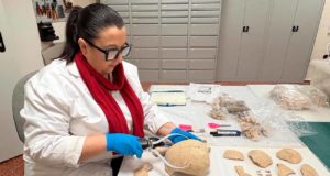 ¿Cómo vivían y enfermaban los habitantes del Jaén islámico? Un nuevo estudio lo aclara