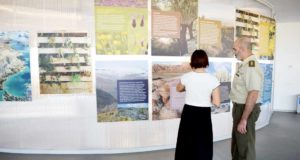 Los terrenos militares esconden algunos de los refugios ecológicos mejor conservados de España