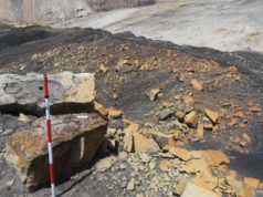 Descubren en Teruel cuatro nuevos fósiles con nácar conservado de hace 100 millones de años