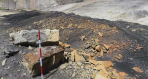 Descubren en Teruel cuatro nuevos fósiles con nácar conservado de hace 100 millones de años