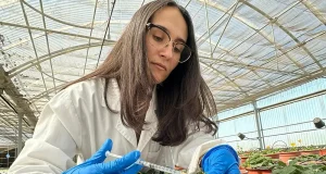 La inteligencia artificial mejora el sabor y el aroma de la fresa amenazados por el cambio climático