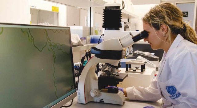 Másteres de la Universidad de Almería 2026: apuesta por la formación dual e internacional