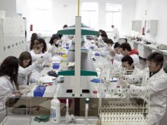 Grados de la Universidad Miguel Hernández: la valenciana con mayor tasa de empleo