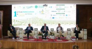 La UNIA traslada su actividad a Marruecos con una microcredencial sobre sostenibilidad en olivicultura