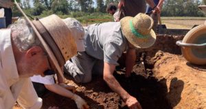 Un carro de bronce único evidencian el comercio de artículos de lujo entre Tarteso y el Mediterráneo