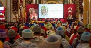 La UCAM ultima la implantación de cuatro nuevos títulos para el próximo curso