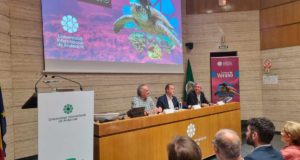 Biodiversidad marina, inteligencia artificial y salud: así arranca la programación de los Cursos de Verano de la UNIA en Málaga