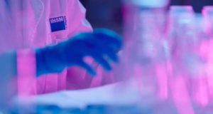 El Máster en Biotecnología y Biología Vegetal de la UMA y la UNIA, una aplicación directa en el sector agrobiotecnológico