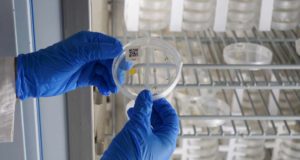 Andalucía incorpora seis nuevas Unidades de Excelencia para reforzar su liderazgo científico
