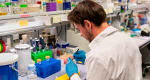 Una molécula abre la llave de un nuevo almacén de nutrientes para las plantas