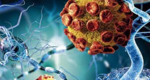Un profesor de la ULE desvela en su nuevo libro qué son los virus zombies y dónde se fundó la primera escuela veterinaria de la historia