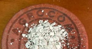 De los viñedos al quirófano: crean un biomaterial con restos de poda para crear implantes que desaparecen en el cuerpo