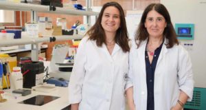 Descubren una vía para potenciar la morfina y reducir la tolerancia en el tratamiento del dolor