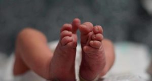 Los bebés prematuros que no recuperan un crecimiento normal pueden sufrir daños en el cerebro