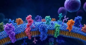 Desarrollan un método que identifica más proteínas del cáncer y abre la puerta a nuevas terapias personalizadas