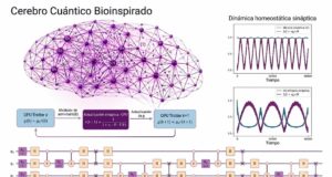 Diseñan un modelo de cerebro cuántico inspirado en el humano