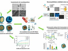 La nanotecnología abre una nueva vía para tratar la demencia con cuerpos de Lewy
