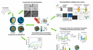 La nanotecnología abre una nueva vía para tratar la demencia con cuerpos de Lewy