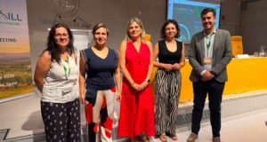 Las soluciones para salvar el suelo de los olivares se ‘cocinan’ estos días en Jaén