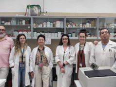 Descubren cómo puede comenzar la diabetes tipo 2 sin obesidad: la clave podría estar en el cerebro