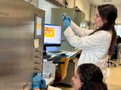 Usan huesos de aceituna para convertir CO2 en metano: es un proyecto de almacenamiento de energía renovable