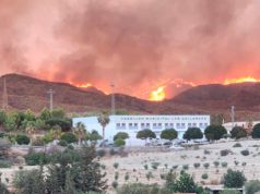 Mantener ‘vivo’ el territorio para hacer frente a los incendios forestales