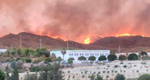 Mantener ‘vivo’ el territorio para hacer frente a los incendios forestales