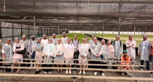 El Modelo Almería afronta nuevos retos: la competencia internacional y la sostenibilidad