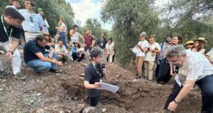 El proyecto europeo LivingSoiLL demuestra que mejorar la salud del suelo aumenta la rentabilidad del olivar