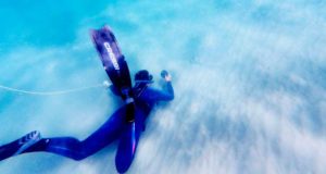 Esta playa de Alicante se ha convertido en una excepcional guardería de rayas