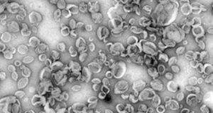 Una nueva tecnología logra que las vacunas sean más eficaces frente a virus y parásitos