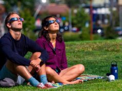 ¿Afectará el eclipse del 12 de agosto a perros y gatos? Esto es lo que recomiendan los veterinarios