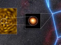Betelgeuse, la supergigante roja, no estaría sola: hallan evidencias de que tiene una estrella compañera