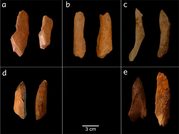Neandertales de Burgos ya conocían la economía circular: afilaban sus herramientas con huesos de animales