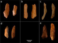 Neandertales de Burgos ya conocían la economía circular: afilaban sus herramientas con huesos de animales